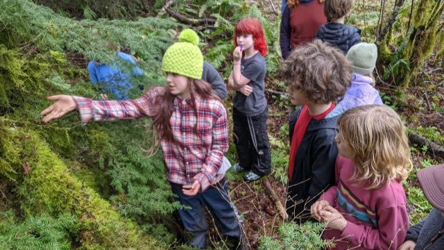 Cultivate Change with Native Landscapes